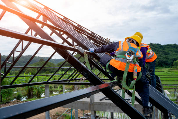 Best Gutter Installation and Roofing  in Stanton, MI