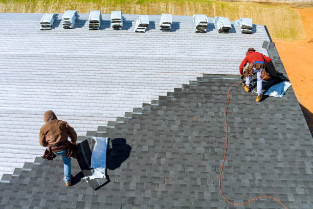 Best Roof Leak Repair  in Stanton, MI