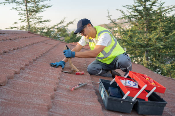 Best Roof Repair Services  in Stanton, MI