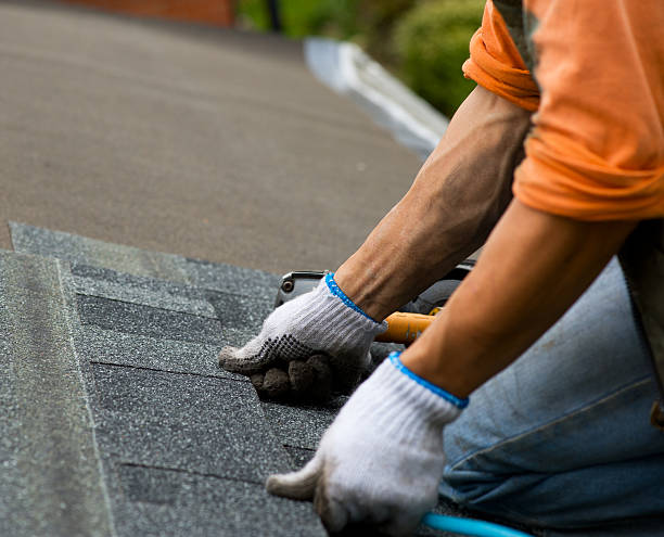 Roof Repair Estimates in Stanton, MI