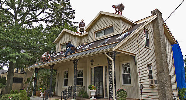 Best Sealant for Roof  in Stanton, MI